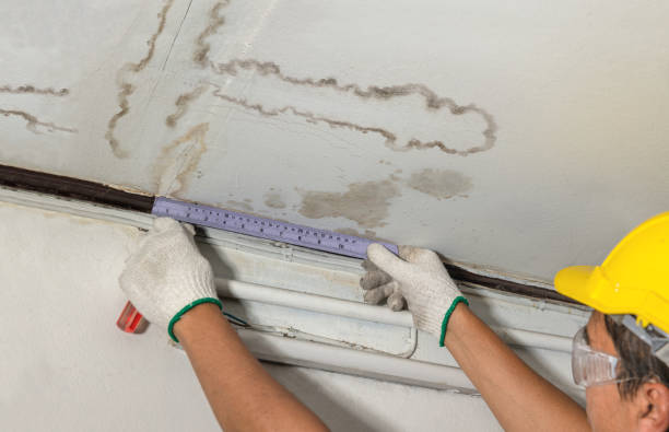 Reliable Sewage Cleanup contractor in Vanleer, TN by Water Damage Irwin